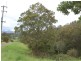 55 McDougall Place, Fernmount NSW 2454