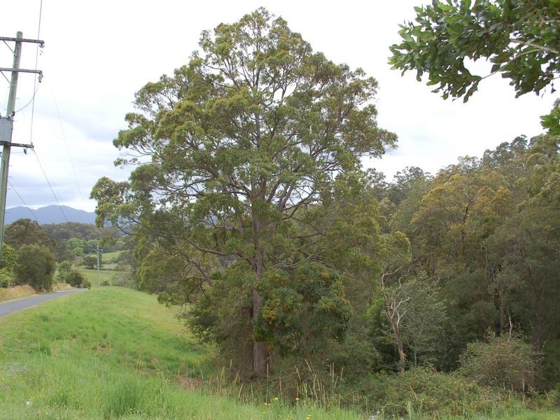 55 McDougall Place, Fernmount NSW 2454