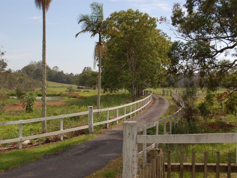 17 Short Cut Rd, Urunga NSW 2455