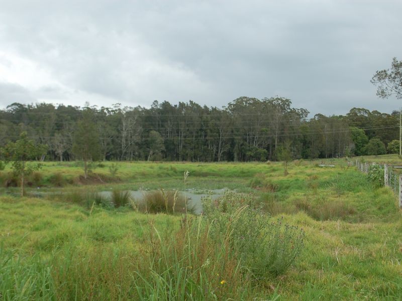 17 Short Cut Rd, Urunga NSW 2455
