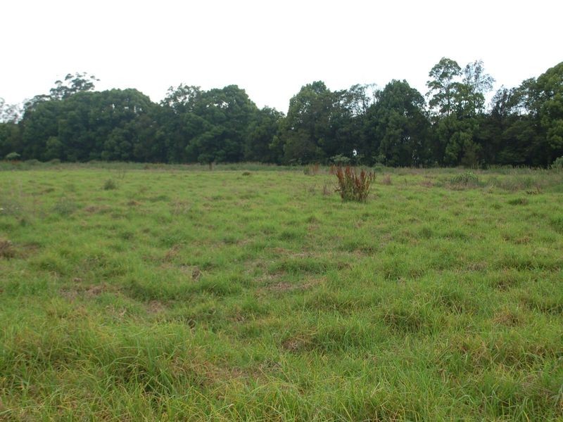 17 Short Cut Rd, Urunga NSW 2455