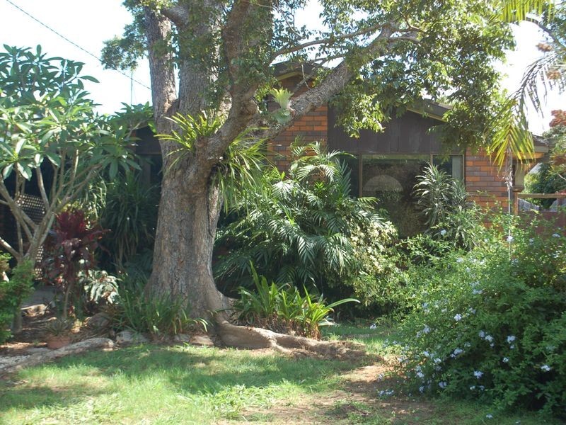 17 Dowle Street, Bellingen NSW 2454