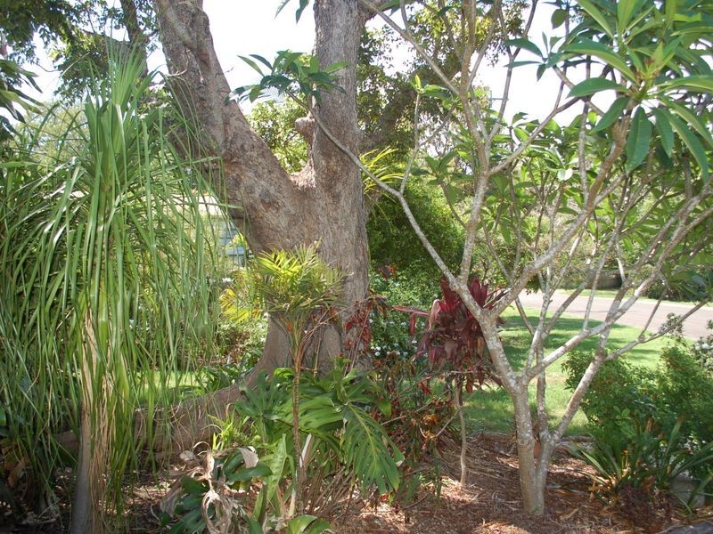 17 Dowle Street, Bellingen NSW 2454