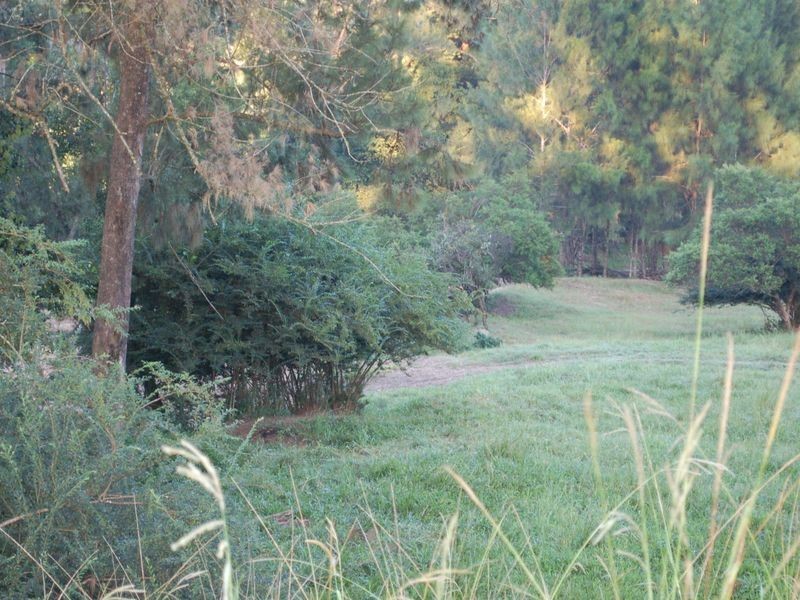 Lots 173-1 Missabotti Rd, Missabotti NSW 2449