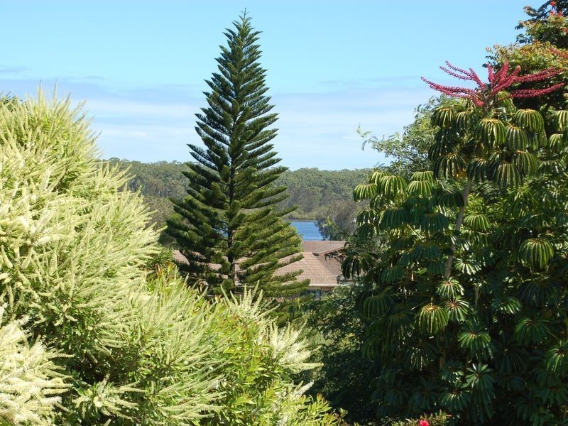 41 Bangalow Terace, Sawtell NSW 2452