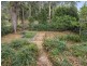 1 Park Street, Bellingen NSW 2454