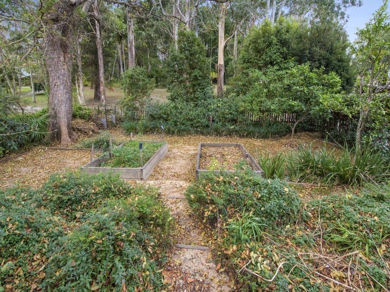 1 Park Street, Bellingen NSW 2454
