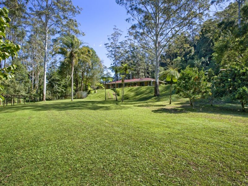 693 Kalang Road, Bellingen NSW 2454