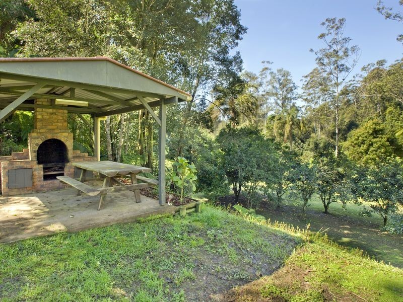 693 Kalang Road, Bellingen NSW 2454