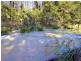 693 Kalang Road, Bellingen NSW 2454