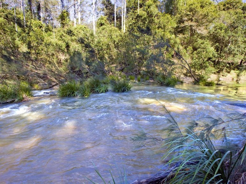 693 Kalang Road, Bellingen NSW 2454