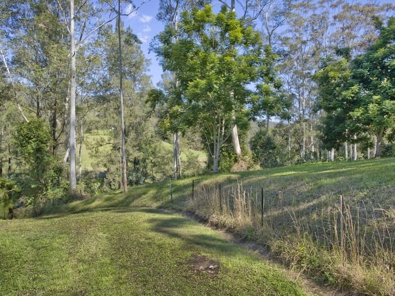 693 Kalang Road, Bellingen NSW 2454