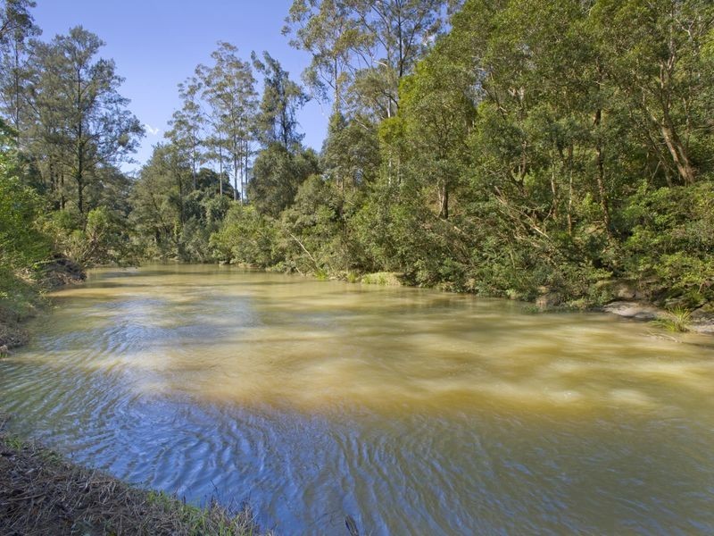 693 Kalang Road, Bellingen NSW 2454