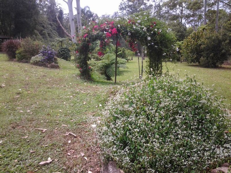 693 Kalang Road, Bellingen NSW 2454