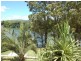 40 Old Pacific Highway, Raleigh NSW 2454
