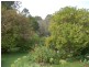 10223 Armidale Road, Hernani NSW 2453
