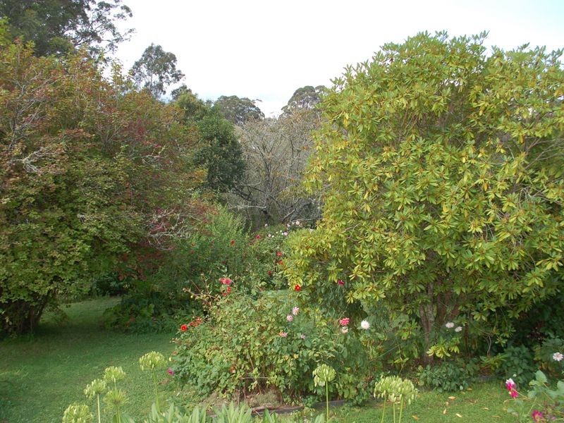10223 Armidale Road, Hernani NSW 2453