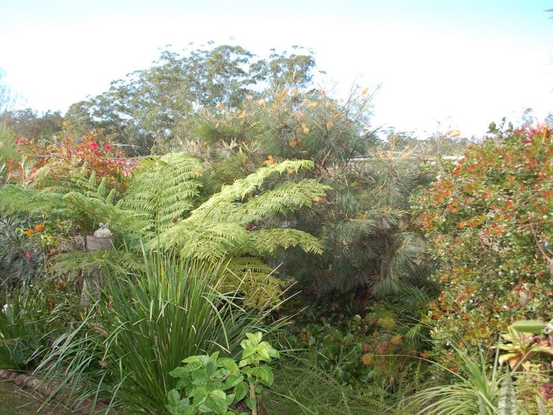Urunga NSW 2455
