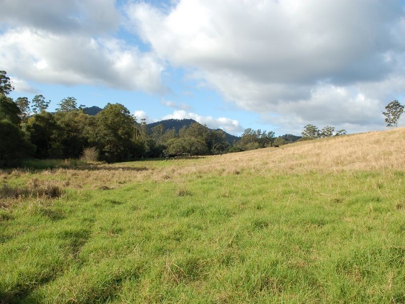 796 Bellingen Road, Missabotti NSW 2449