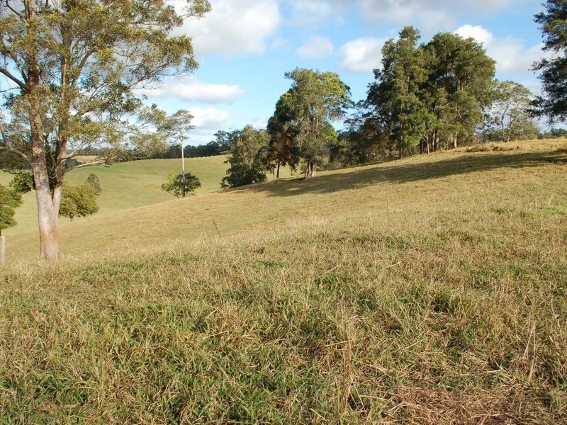 796 Bellingen Road, Missabotti NSW 2449