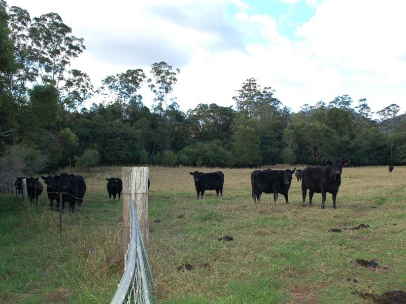 796 Bellingen Road, Missabotti NSW 2449