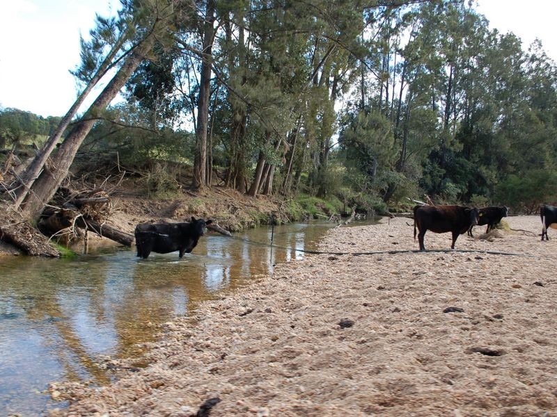 796 Bellingen Road, Missabotti NSW 2449