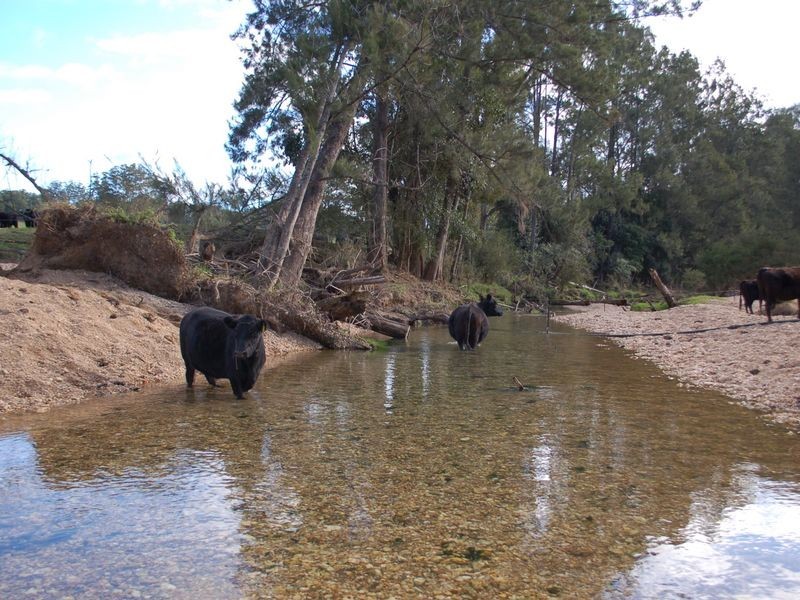796 Bellingen Road, Missabotti NSW 2449