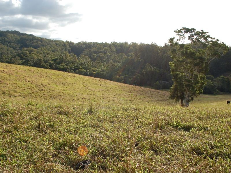 796 Bellingen Road, Missabotti NSW 2449