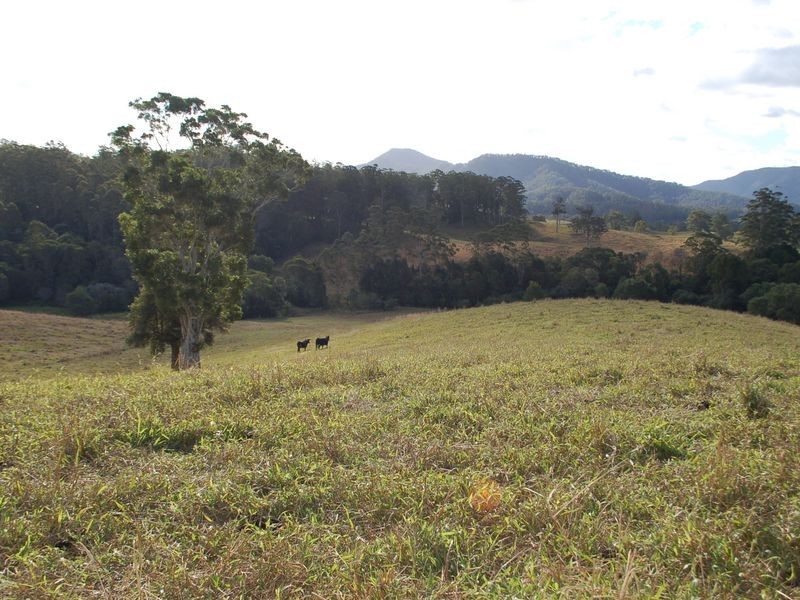 796 Bellingen Road, Missabotti NSW 2449