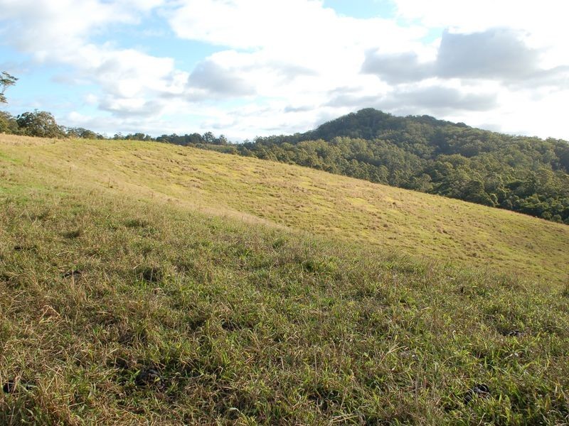 796 Bellingen Road, Missabotti NSW 2449