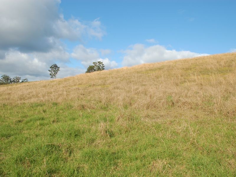 796 Bellingen Road, Missabotti NSW 2449