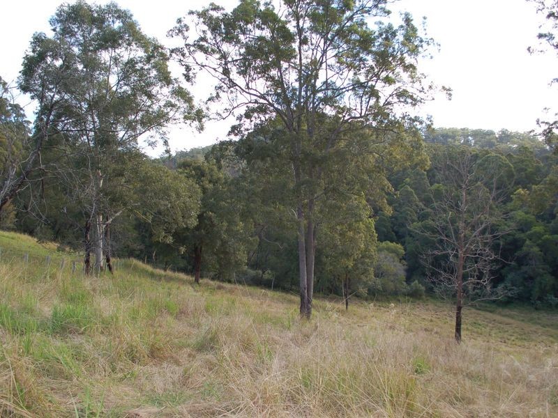 796 Bellingen Road, Missabotti NSW 2449