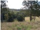 796 Bellingen Road, Missabotti NSW 2449