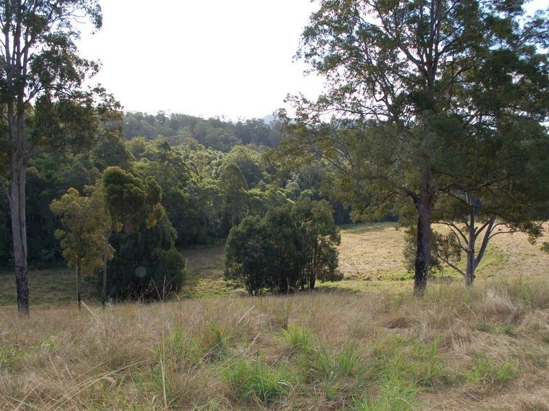 796 Bellingen Road, Missabotti NSW 2449