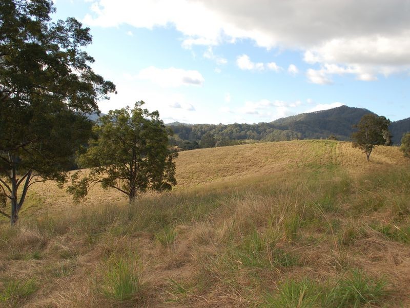 796 Bellingen Road, Missabotti NSW 2449