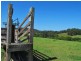 1226 Taylors Arm Road, Utungun NSW 2447