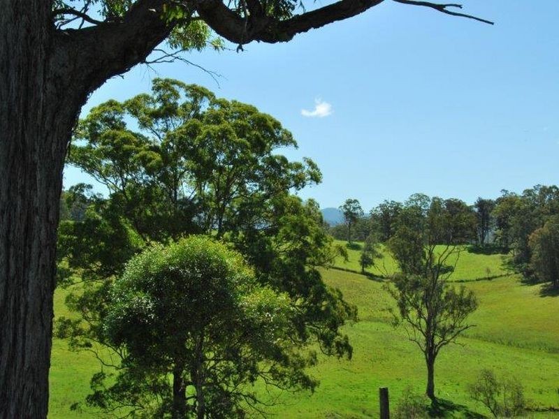 1226 Taylors Arm Road, Utungun NSW 2447
