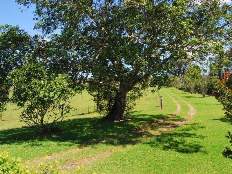 1226 Taylors Arm Road, Utungun NSW 2447