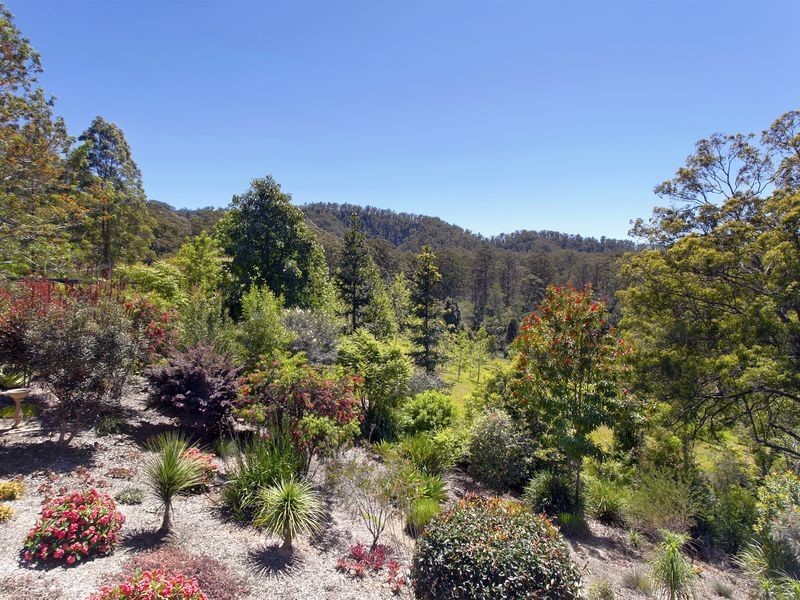 697 Bellingen Road, Missabotti NSW 2449