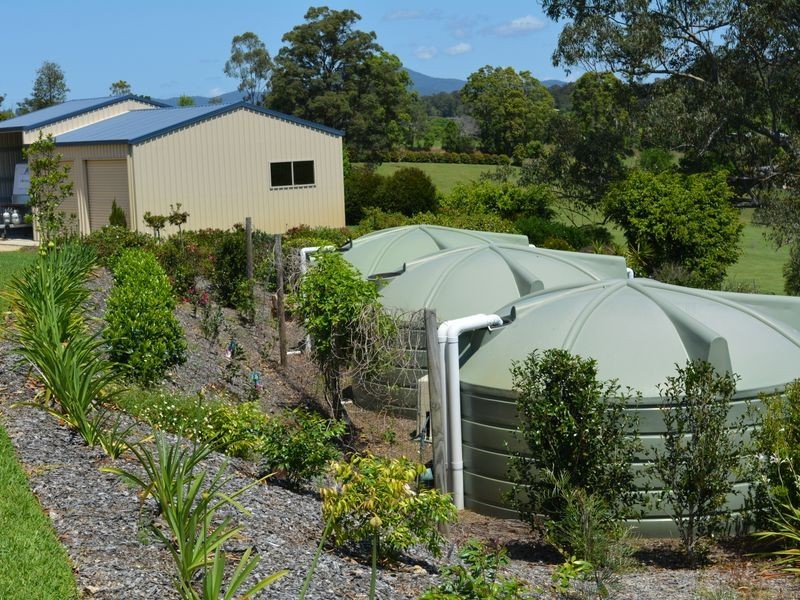 59 Reids Road, Bellingen NSW 2454