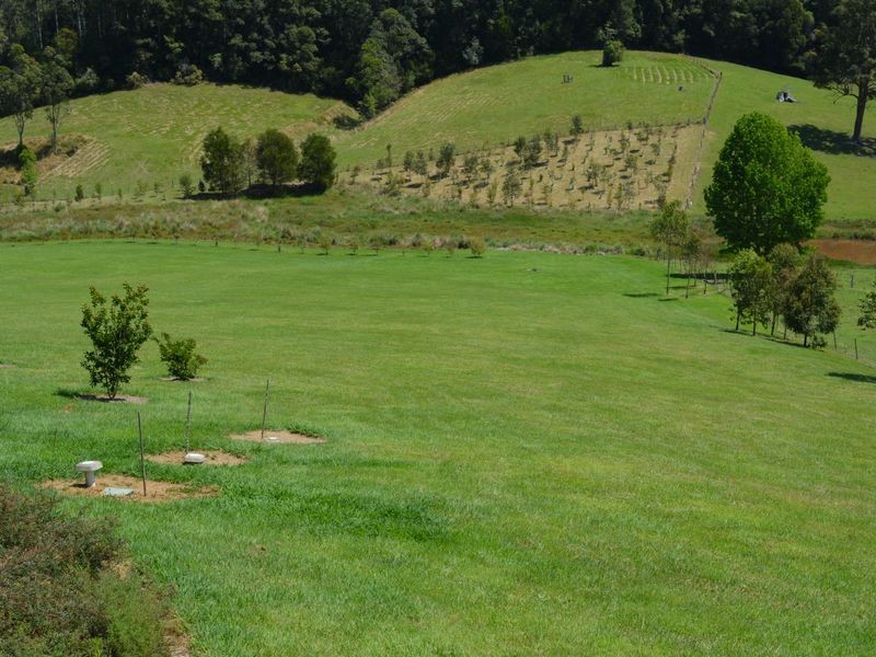 59 Reids Road, Bellingen NSW 2454