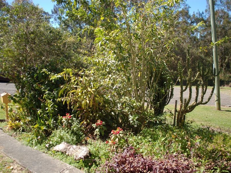 38 Fitzroy Street, Urunga NSW 2455