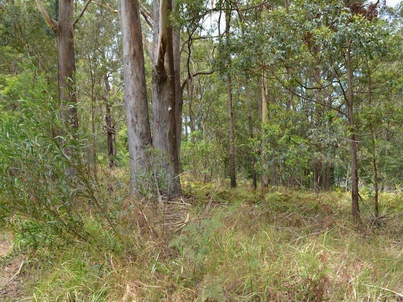 LOT 162 Old Pacific Highway, Raleigh NSW 2454