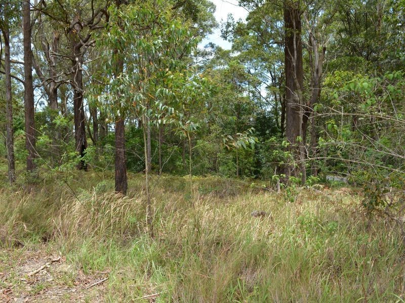 LOT 162 Old Pacific Highway, Raleigh NSW 2454