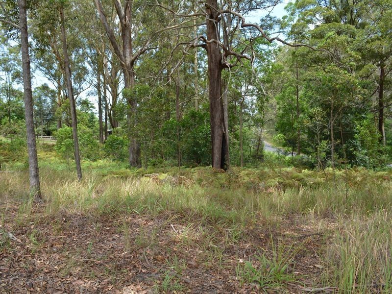 LOT 162 Old Pacific Highway, Raleigh NSW 2454