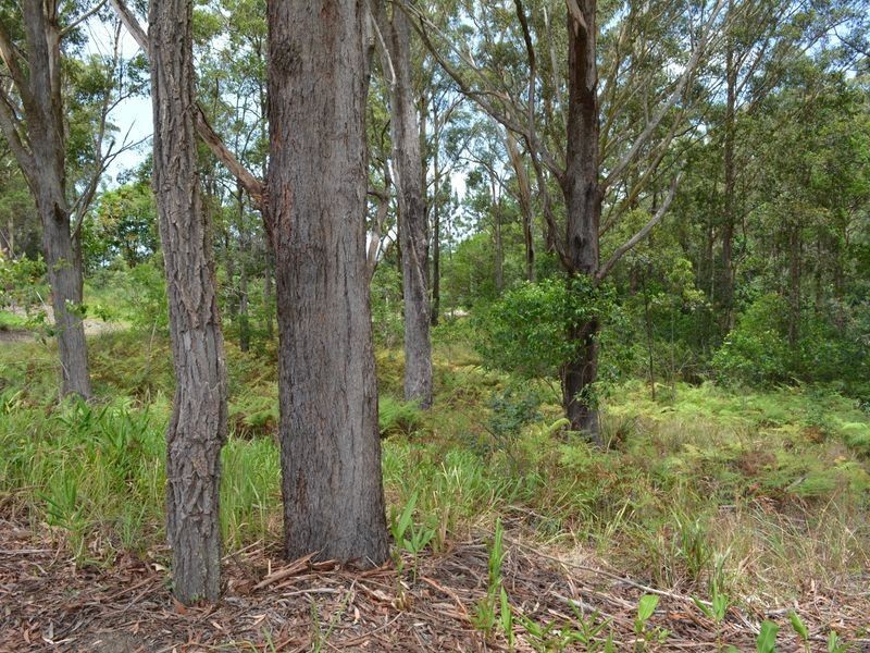 LOT 162 Old Pacific Highway, Raleigh NSW 2454