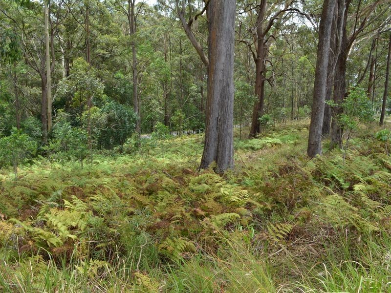 LOT 162 Old Pacific Highway, Raleigh NSW 2454