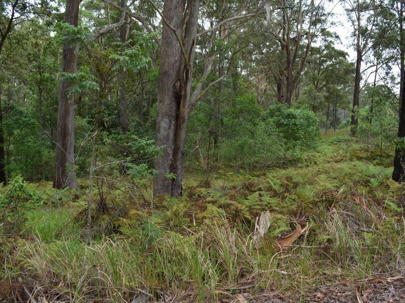 LOT 162 Old Pacific Highway, Raleigh NSW 2454