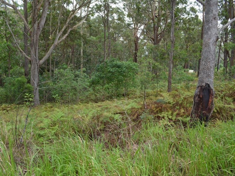 LOT 162 Old Pacific Highway, Raleigh NSW 2454