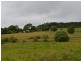 3926 Waterfall Way, Dorrigo NSW 2453
